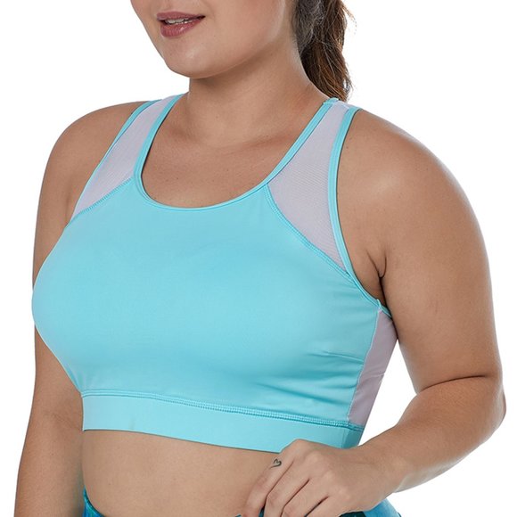 Light Blue Sheer Mesh Back Plus Size Sports Bra - Picture 4 of 5